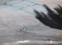 Audi FIS World Cup - Women's Super Giant Slalom