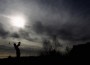 Golf (Getty Images)